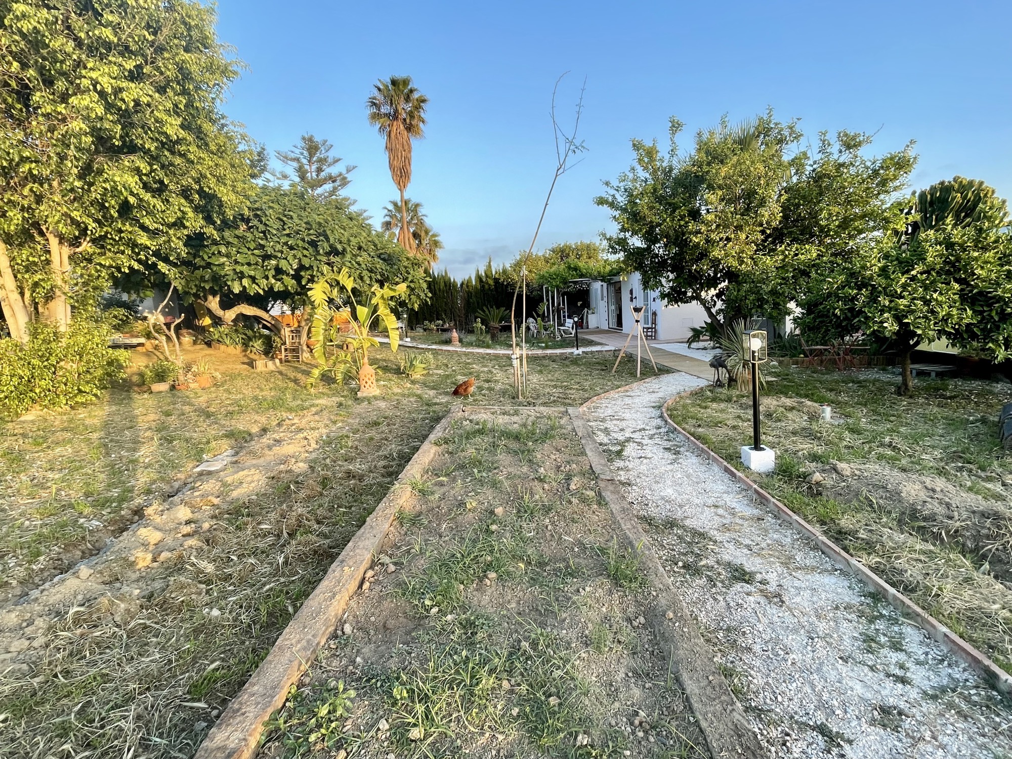 Vista general del terreno — extensión del oasis