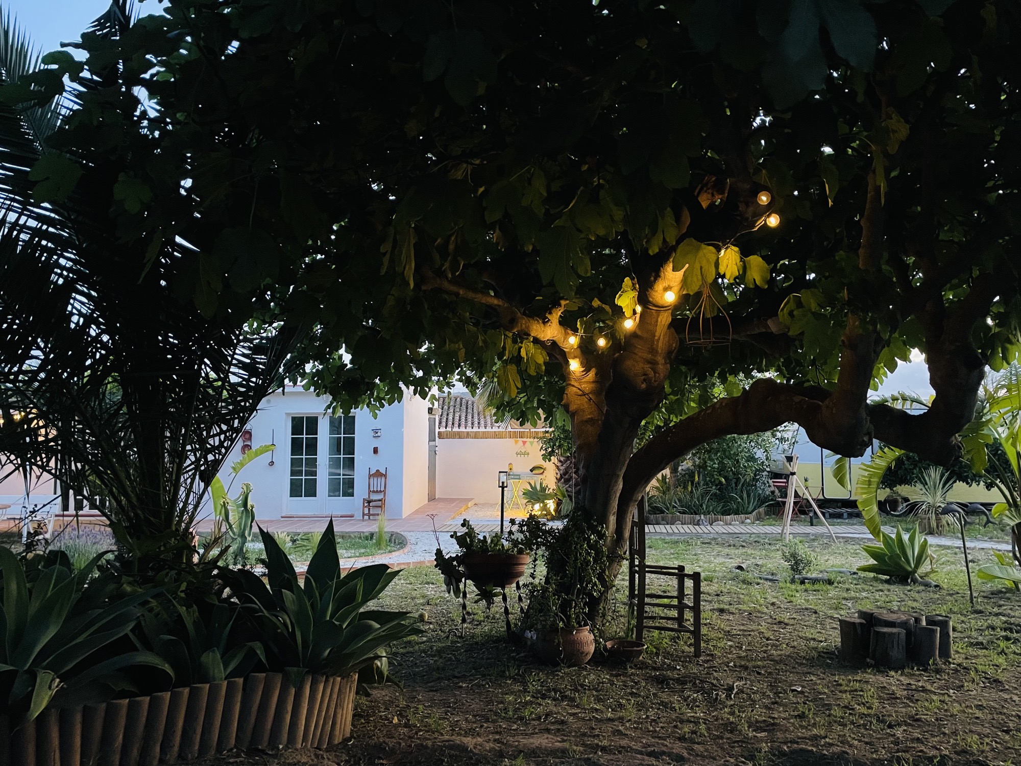 Jardín encantado bajo guirnaldas nocturnas