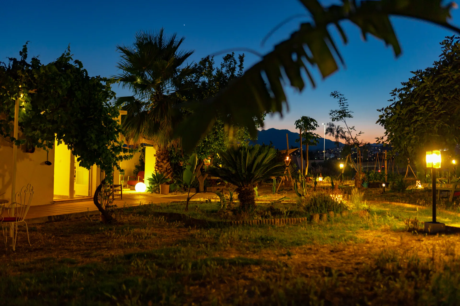 Jardín al anochecer con las luces de la ciudad al horizonte