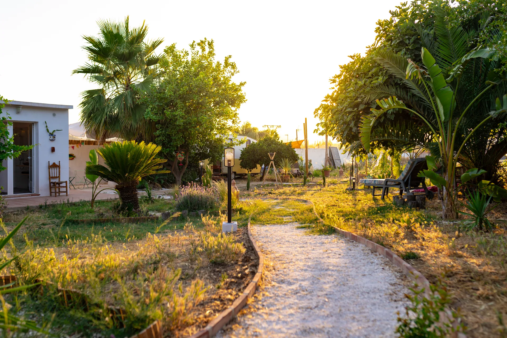 Camino de grava entre palmeras y vegetación