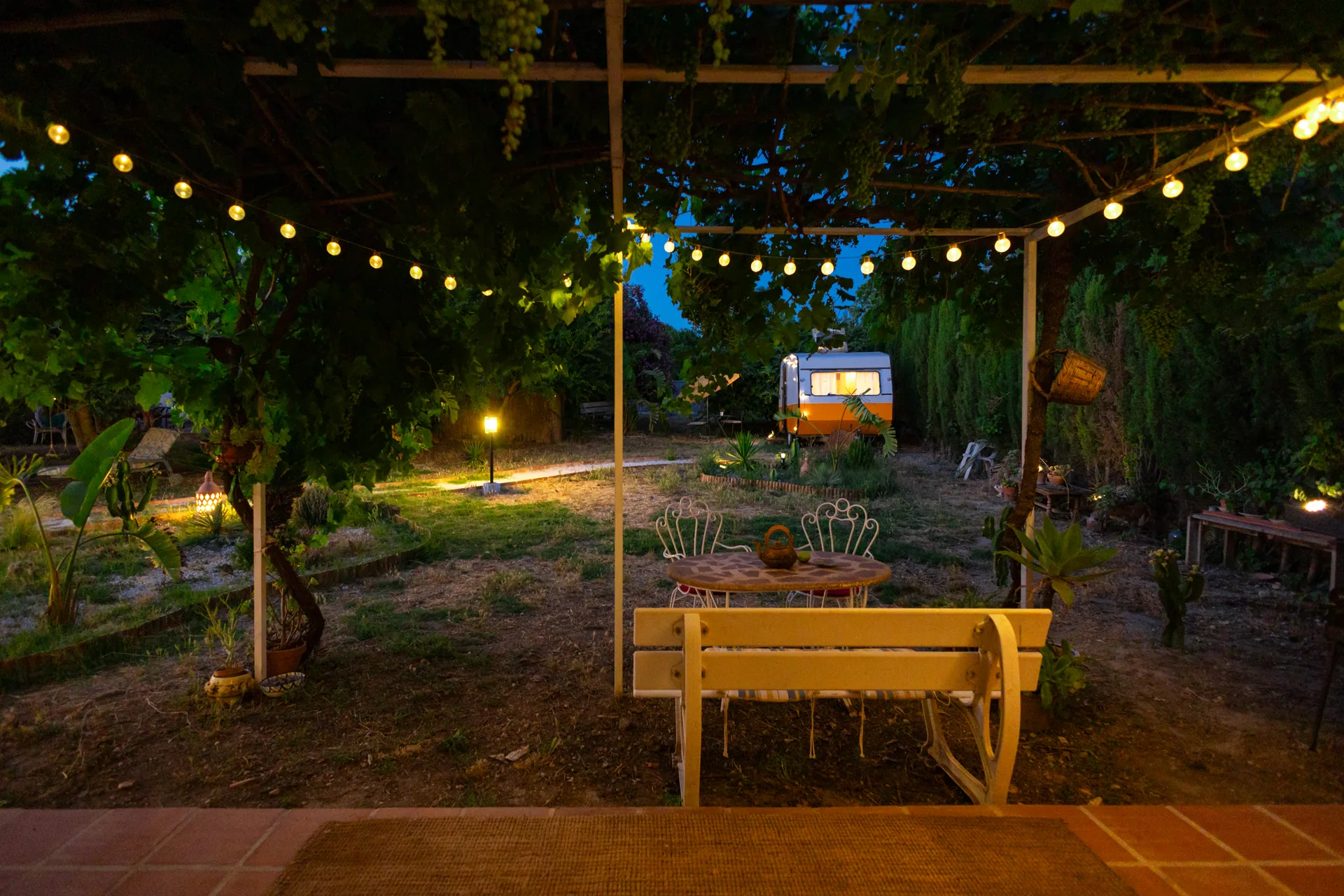 Pérgola con uvas y luces al caer la noche